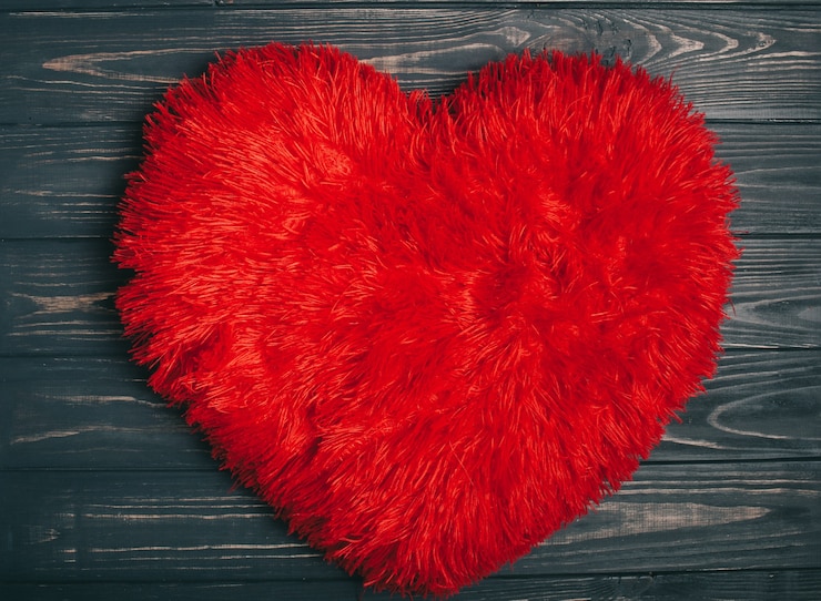 Foto san valentino. cuscino cuore
