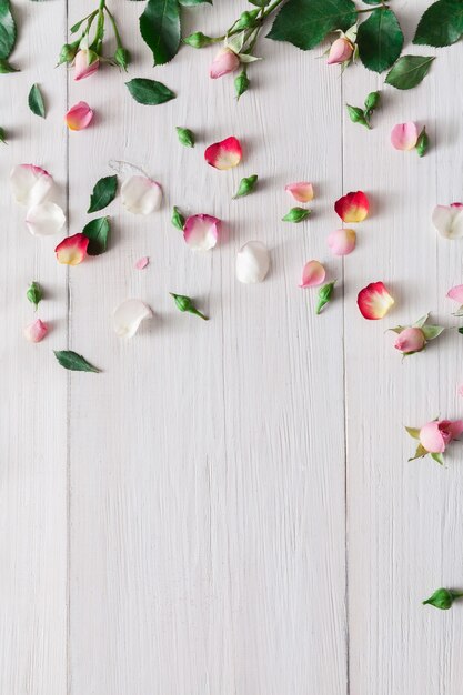 San Valentino, fiori di rosa rosa e petali sparsi su legno rustico bianco, vista dall'alto con lo spazio della copia