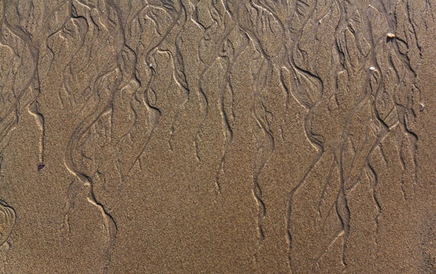 Sand Texture