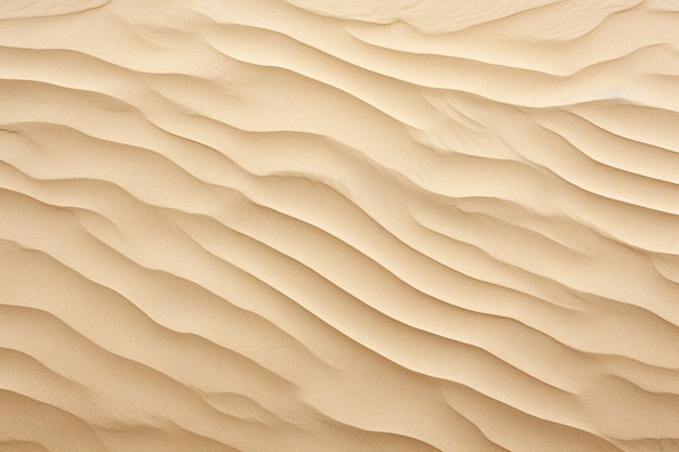 Sand Texture