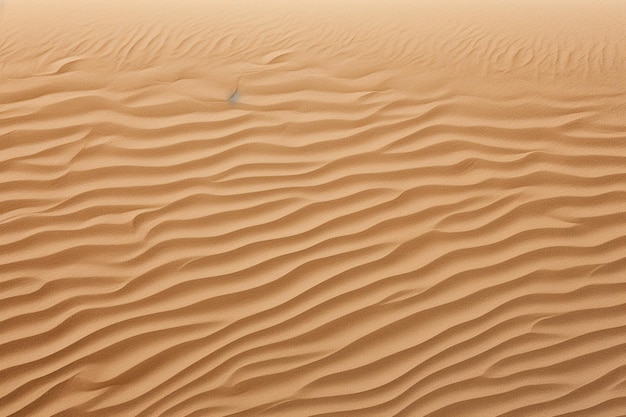 Sand Texture