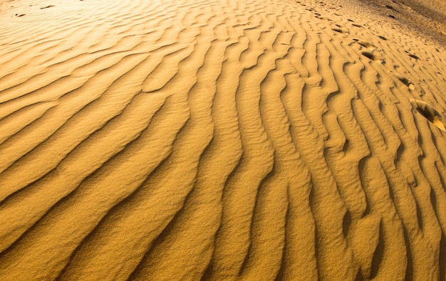 Sand Texture