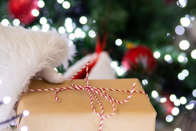 Santa mette un regalo sotto l'albero di Natale.