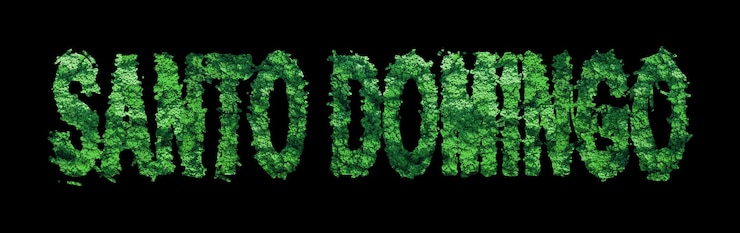 Photo santo domingo lettering santo domingo forest ecology concept