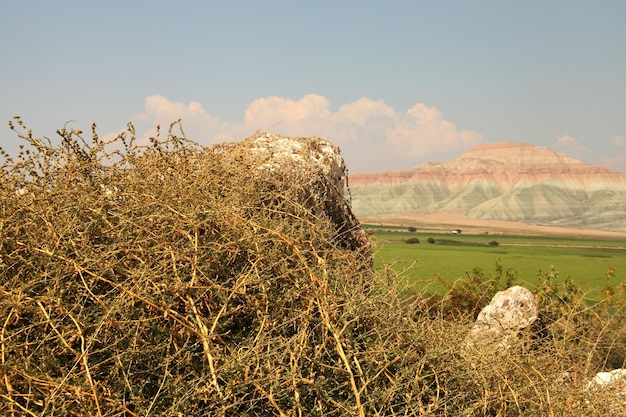 Santuario degli uccelli di montagna Nallhan Ankara Turchia