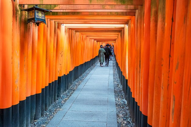 Santuario di Fushimi Inari-taisha, oltre 5000 vibranti porte torii arancioni. è uno dei santuari più popolari in Giappone. punto di riferimento e popolare per le attrazioni turistiche di Kyoto. Kansai, Giappone