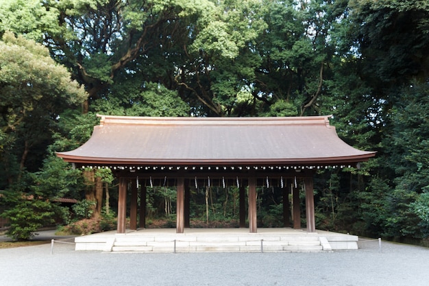 Santuario e albero di Meji Jingu, TOKYO GIAPPONE