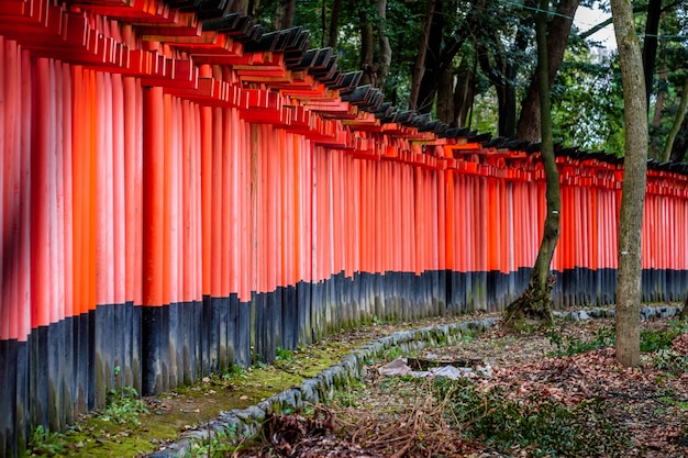 Santuario Fushimi Inari a Kyoto