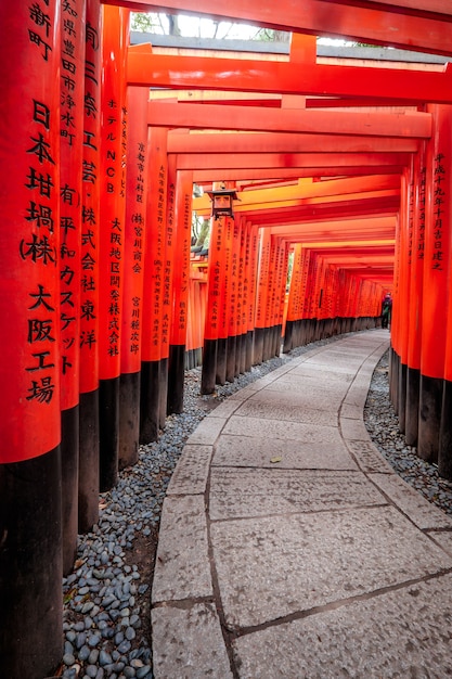 Santuario Fushimi Inari a Kyoto