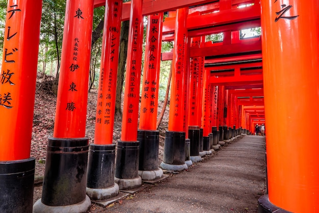 Santuario Fushimi Inari a Kyoto