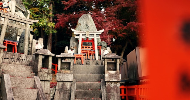 Santuario shintoista in pietra con la statua della porta Torii e la pace nel viaggio con la storia spirituale a Kyoto Architettura Cultura giapponese e tempio nella foresta con gradini scultura e monumento negli alberi d'autunno
