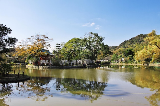 Santuario Tsurugaoka Hachimangu Kamakura Giappone