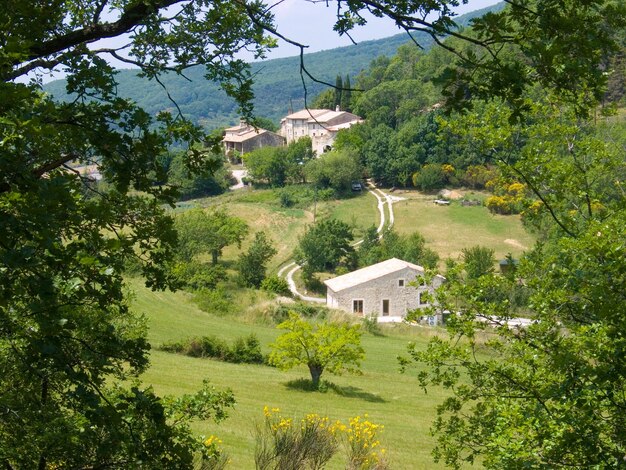 Saoudromefrance