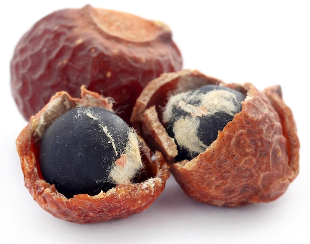 Sapindus mukorossi o soapberry indiano utilizzare in molti scopi farmacologici e di pulizia