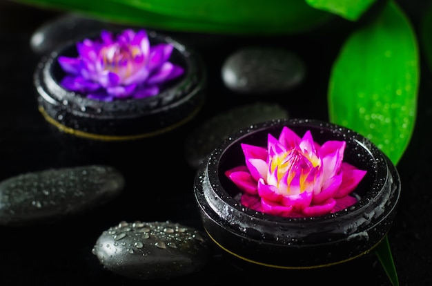 sapone spa con acqua lilly forma di fiore su sfondo nero con pietre e gocce d&#39;acqua