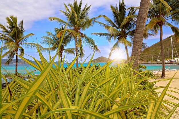 Sapphire Beach sull'isola di St Thomas