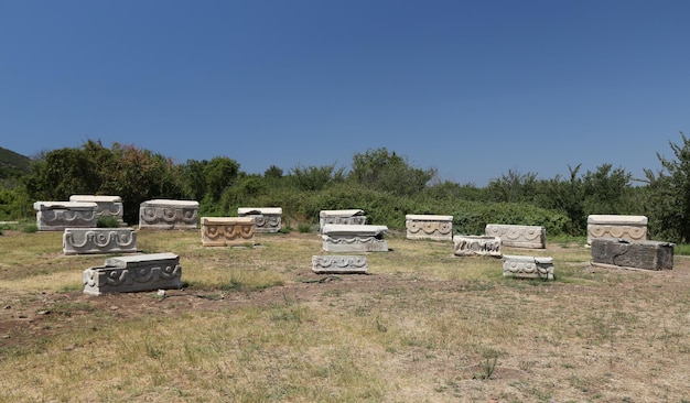 Sarcofago nella città antica di Efeso nella città di Selcuk Smirne in Turchia