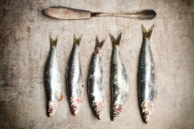 Sarde fresche su fondo di marmo