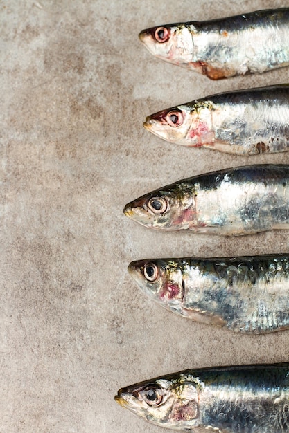 Sarde fresche su fondo di marmo