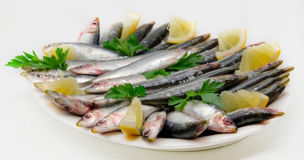 Sardine fresche