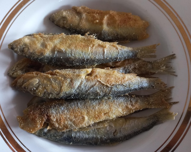 Sardine fritte su un piatto primo piano della foto