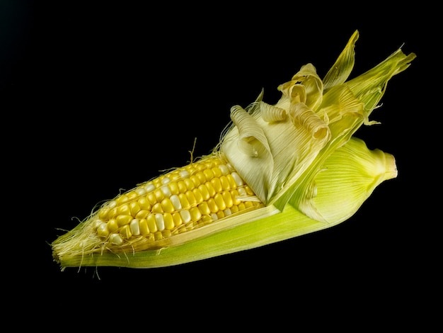 sbucciare mais crudo su sfondo nero