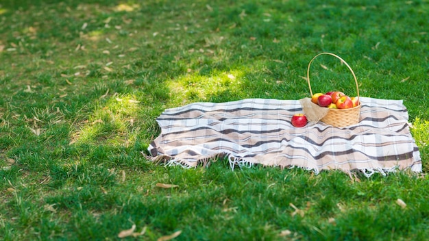 Scacchi Plaid Picnic Cesto Di Mele Frutta Verde Erba Estate Riposo Sfondo Design Web Concept Formato Lungo