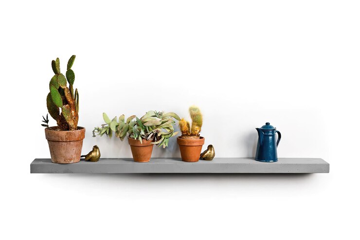 Foto scaffale con teiera in ceramica d'epoca e cactus interno della casa isolato su bianco