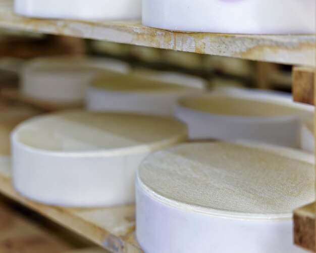 Scaffale di giovane formaggio Gruyere de Comte in cantina di maturazione nel caseificio Franche Comte, Francia