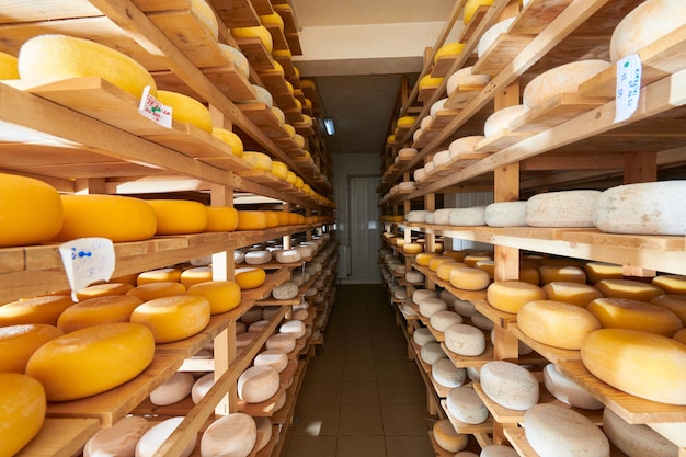 Scaffali di produzione del caseificio con stagionatura di formaggio vecchio locale biologico vuoto