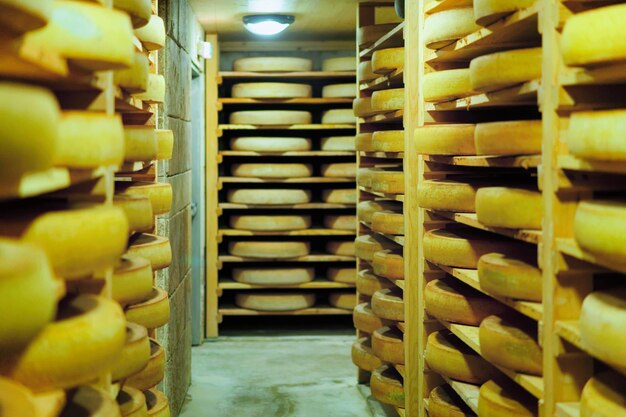 Scaffali di stagionatura formaggio su scaffali di legno in cantina di stagionatura in Francia, caseificio Franche Comte