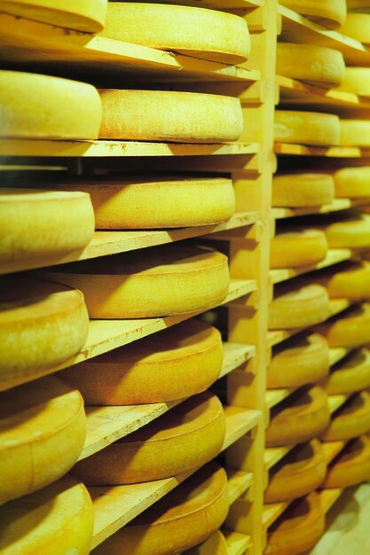 Scaffali di stagionatura formaggio su scaffali di legno in cantina di stagionatura in Francia, caseificio Franche Comte