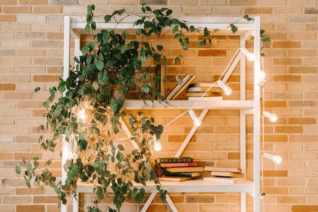 Scaffali in legno chiaro con libri rovesciati con copertina rigida in interni bianchi fiori interni sugli scaffali biblioteca domestica design biofilo e piante