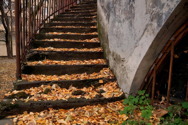 Scala autunnale