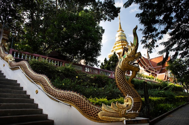 Scala del serpente di Naga e stupa della pagoda chedi del tempio di Wat Phra That Doi Saket per i thailandesi e i viaggiatori stranieri visitano e rispettano il buddha in preghiera nella città di Chiangmai a Chiang Mai Thailandia