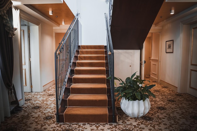 Scala in legno rustica con pianta in vaso autentico design interno in stile veneziano