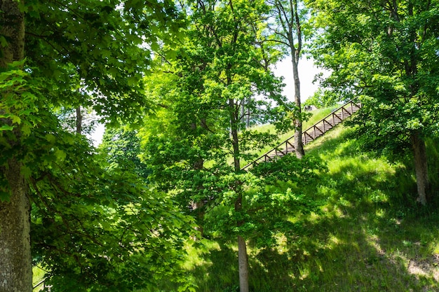 Scale di legno alla sommità del tumulo.