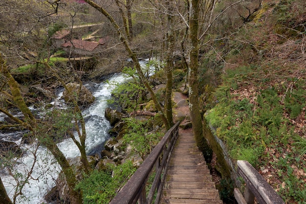 Scale di legno su un percorso parallelo al fiume Arenteiro in una foresta in Galizia, Spagna.