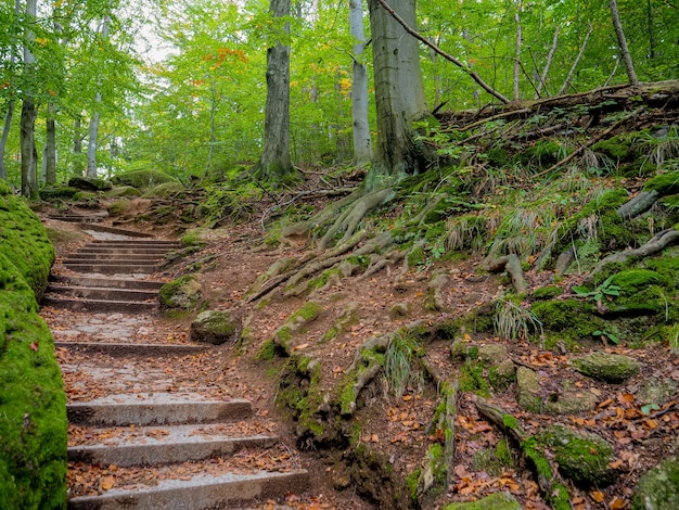 Scale di pietra nel sentiero nella Bassa Slesia, Polonia. Tempo d'autunno