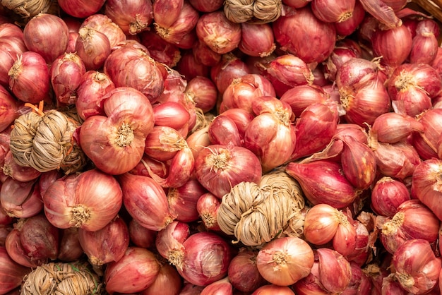 Scalogno o cipolla rossa Erbe asiatiche e ingredienti da cucina su fondo di legno