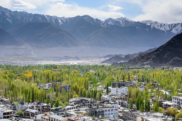 Scape della città di Leh Ladakh con luce solare