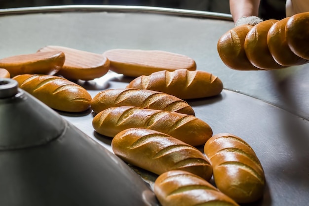 Scarico del pane dal trasportatore Il lavoratore preleva il pane dal trasportatore del forno Produzione del pane bianco Cottura dei panini Raccolta