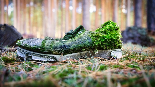 Scarpa in decomposizione nella foresta ricoperta di muschio e dimenticata