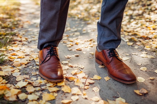 Scarpe d'uso dell'uomo d'affari nel parco di autunno. Calzature classiche in pelle marrone. Primo piano di gambe