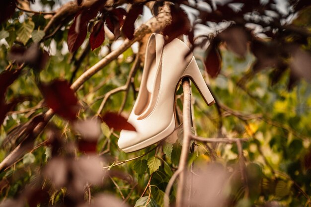 Scarpe da sposa bianche con accessori scarpe da giorno estive sull'albero