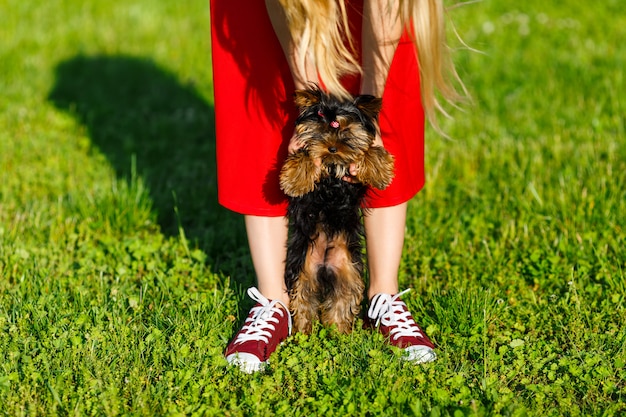 Scarpe da tennis della ragazza in rosso che stanno sull'erba con il suo cane