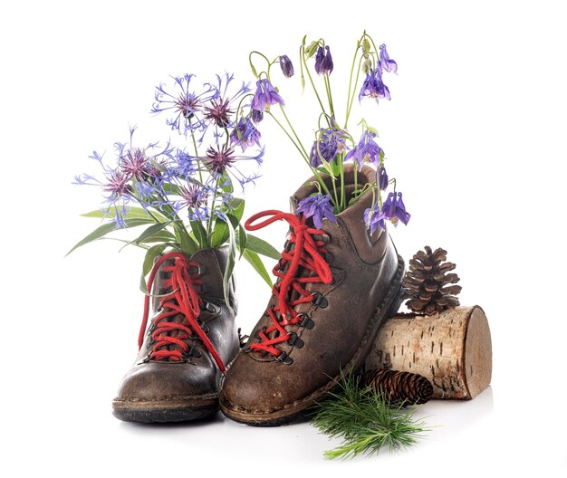 Scarpe da trekking davanti a sfondo bianco