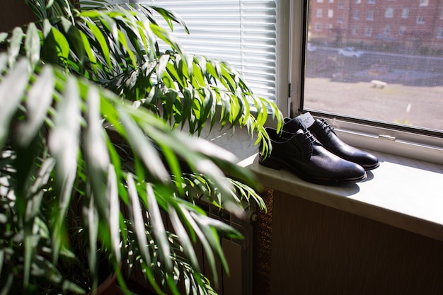 Scarpe da uomo in pelle con cintura e papillon