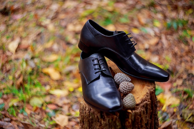 Foto scarpe eleganti da uomo in pelle nera vacanze, pulite, serali, scure