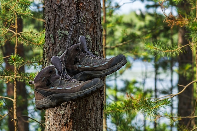 Scarponi da trekking appesi a un albero nella foresta